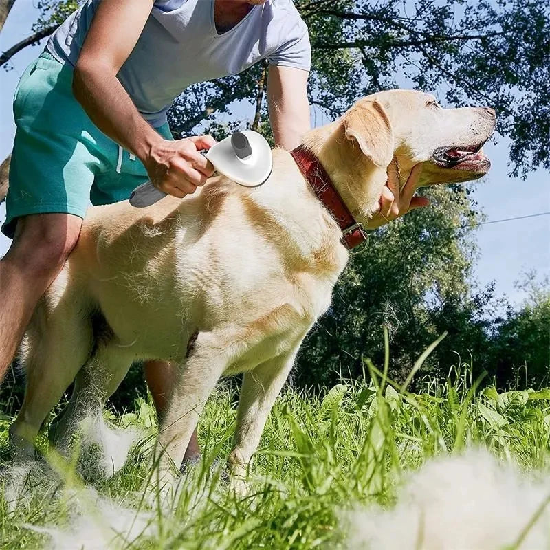 Cepillo para perros y gatos, peine autolimpiante para quitar el pelo de mascotas, herramientas de aseo para perros y gatos, peine para desmastar mascotas, accesorios para perros